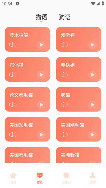 Peppy Cat最新安卓版v1.1.0(2)