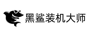 黑鲨装机大师