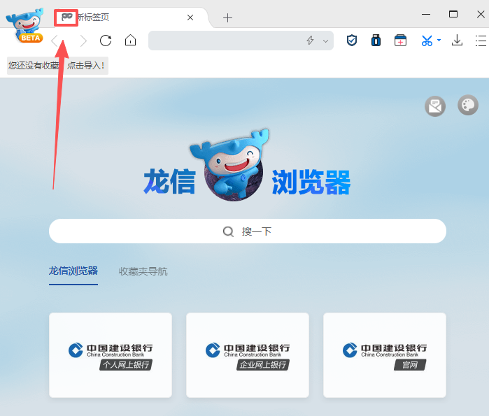 龙信浏览器