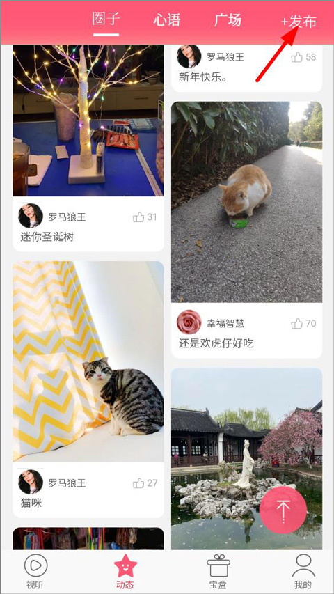 星猫乐园苹果版