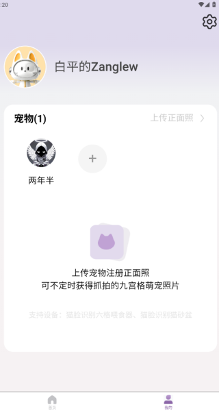 趴趴爪宠物
