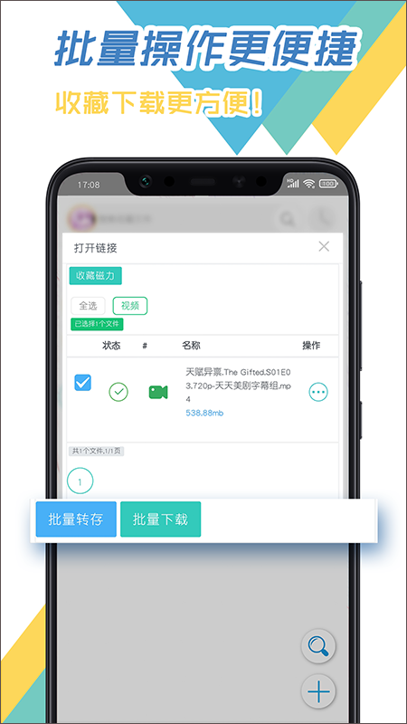 飞鸟下载器appv3.96(1)