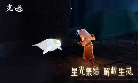 光遇国际测试服(社交冒险游戏)v0.28.0 (304606)(2)