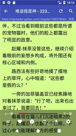 爬小说软件
