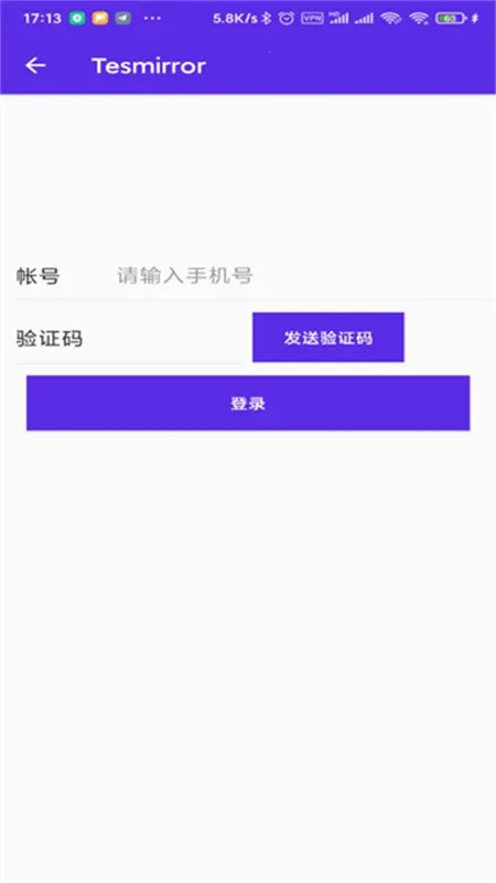 Tesmirror2025最新版本v1.0.13_release(4)