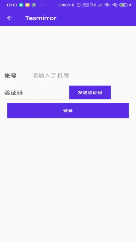 Tesmirror2025最新版本