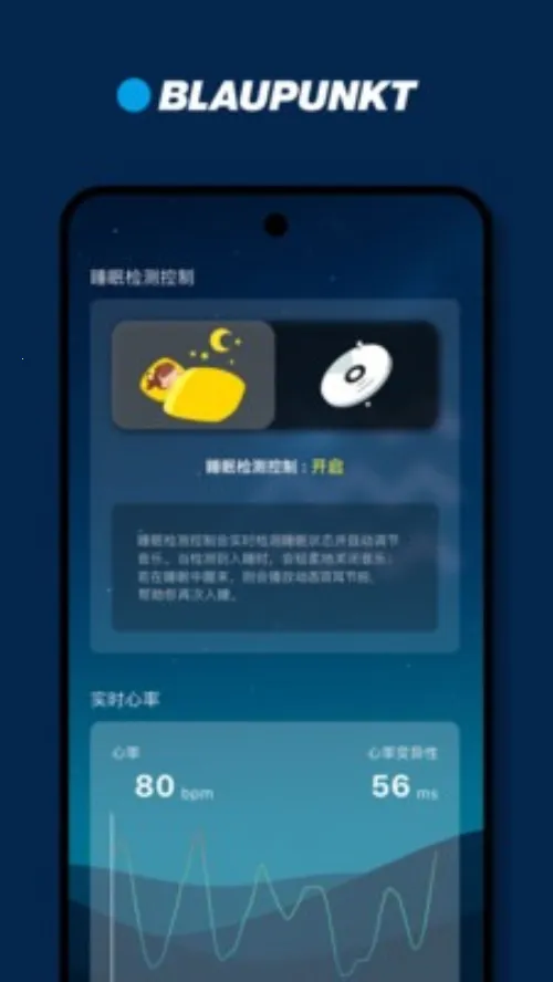 BLAUPUNKT(音效护理软件)