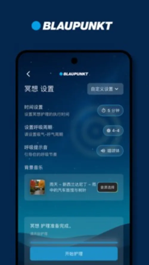 BLAUPUNKT(音效护理软件)