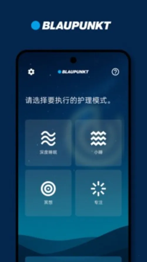 BLAUPUNKT(音效护理软件)v1.1.30(2)