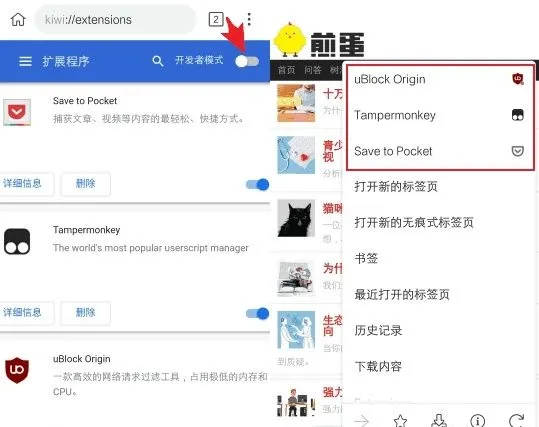 kiwibrowser2025最新版本