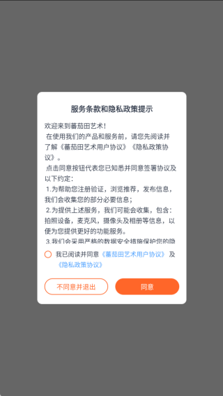 蕃茄田艺术