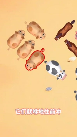 猪挪挪