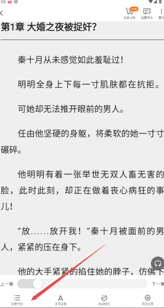 西瓜小说app