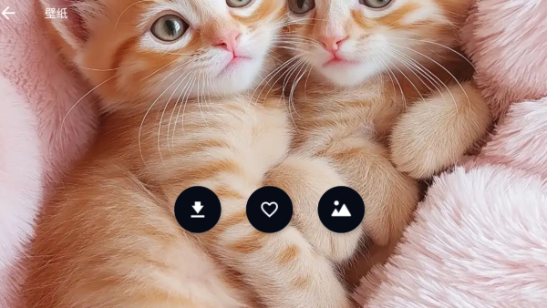 墙纸口袋壁纸app
