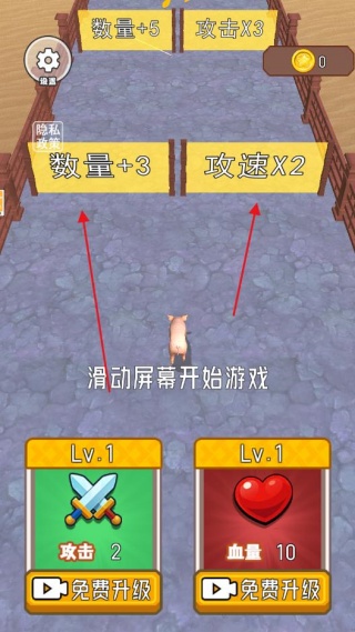 小猪疯狂进化