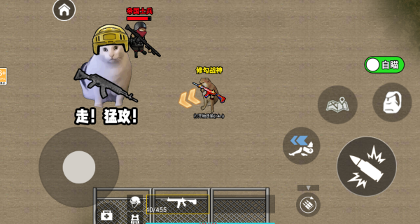 修狗三角行动