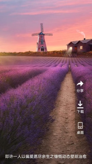 爱动态壁纸app