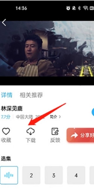 河马视频