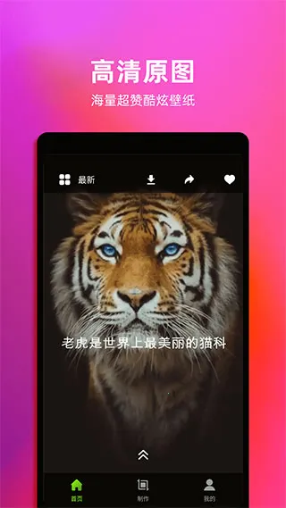 Live动态壁纸(手机壁纸应用)