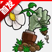 4c6H植物大战僵尸损版自制游戏 v1.0安卓版