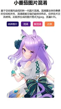 小番茄解码工具(图片处理软件)v1.1(4)