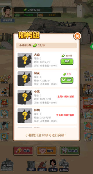 养猪致富计划