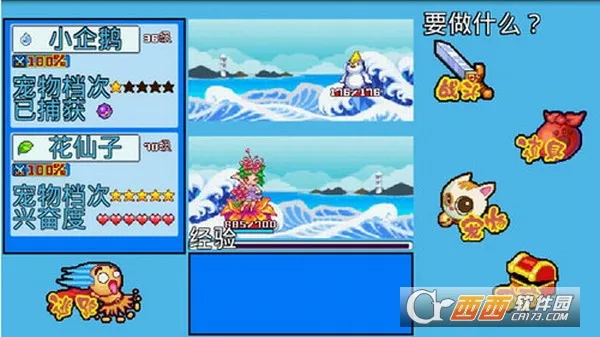 宠物王国5彩虹2025手机版