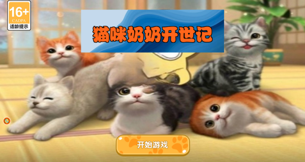 猫咪奶奶开世记