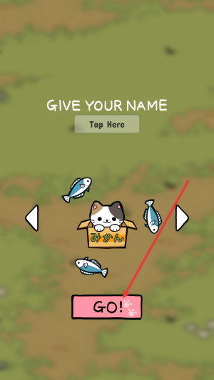 公园里的野猫