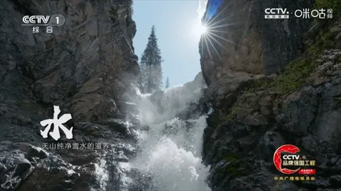 冰茶订阅专用(电视直播软件)v17(3)