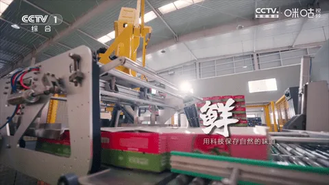 冰茶订阅专用(电视直播软件)v17(1)