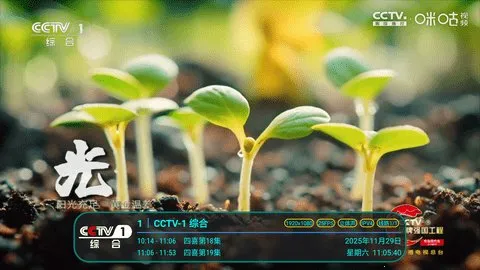 冰茶订阅专用(电视直播软件)v17(4)