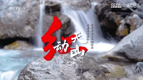 冰茶订阅专用(电视直播软件)v17(2)