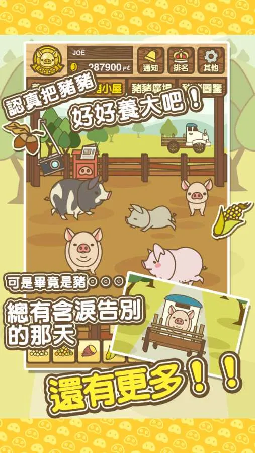 养猪场MIX2025下载