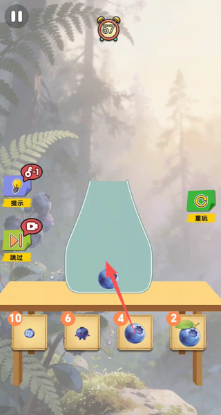朦胧蓝莓图鉴