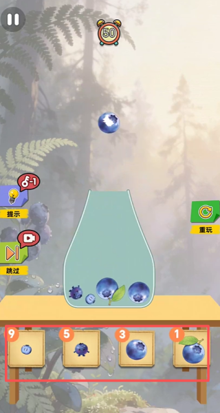 朦胧蓝莓图鉴