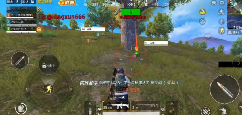 和平精英龙巡直装免卡密版v1.0(3)