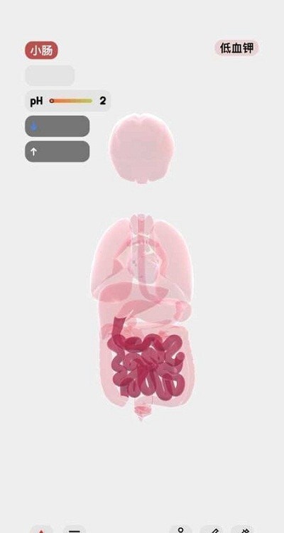 LIFE生命人体模拟器汉化破解版最新2025v1.0(4)