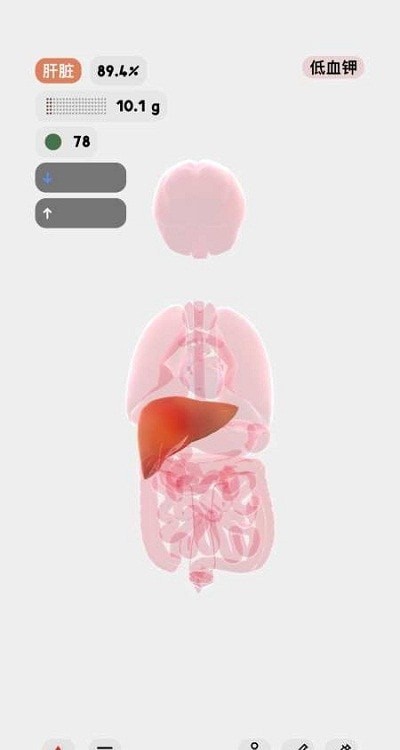 LIFE生命人体模拟器汉化破解版最新2025v1.0(3)