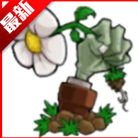 Longe植物大战僵尸可接头版最新版本 v0.01安卓版
