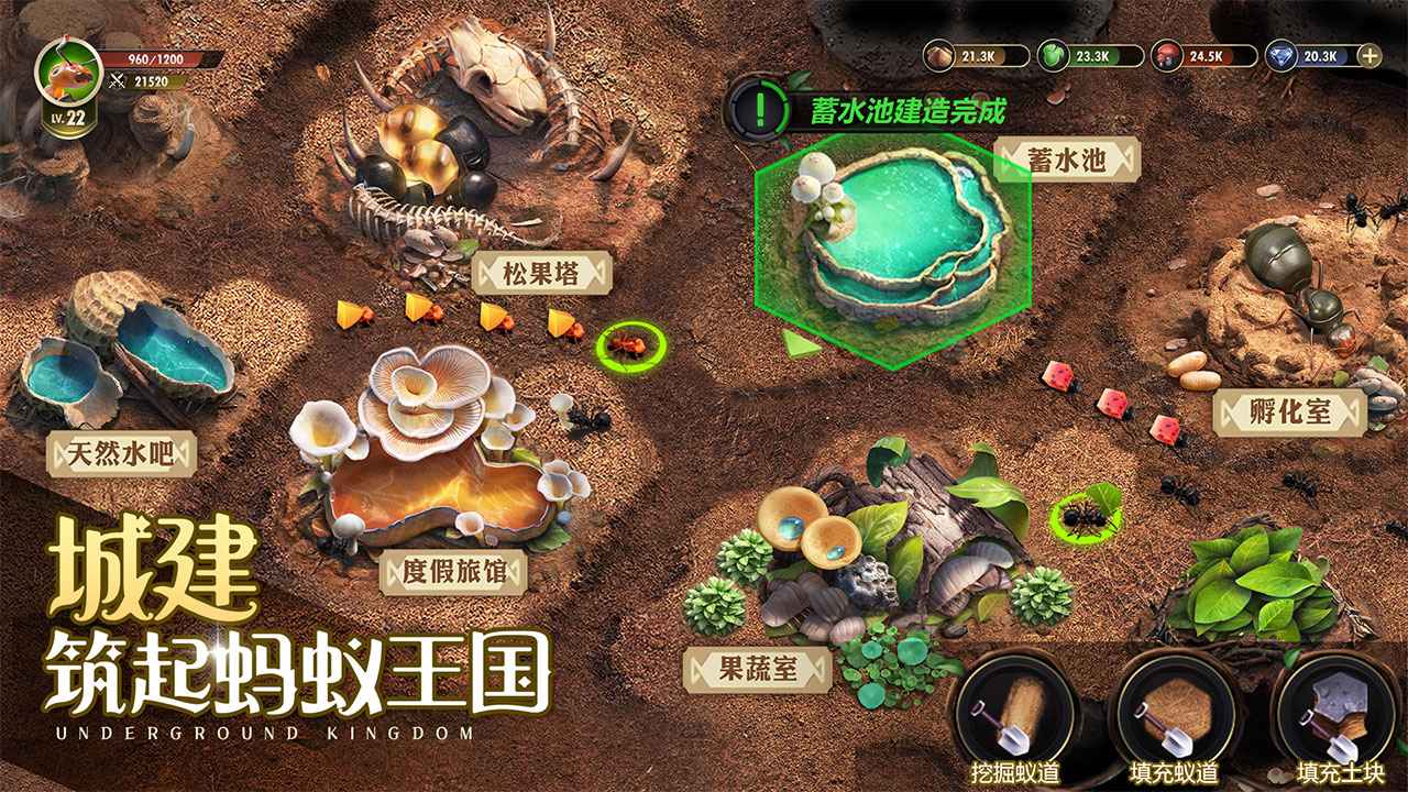 小小蚁国安卓版2026官方版v1.86.0(1)