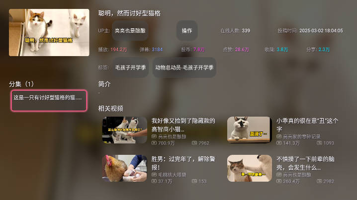 老比利app电视tv下载2026免费版v1.5.202502011158(3)