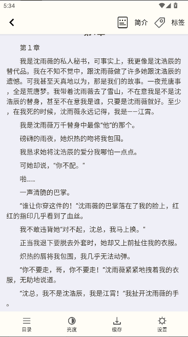 辰思小说APPv1.0.2(1)
