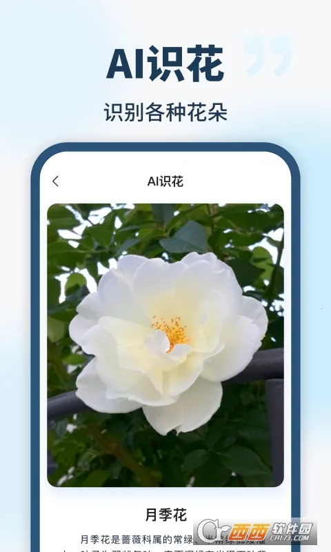 AI智能助手2026最新版本v1.0.0(1)