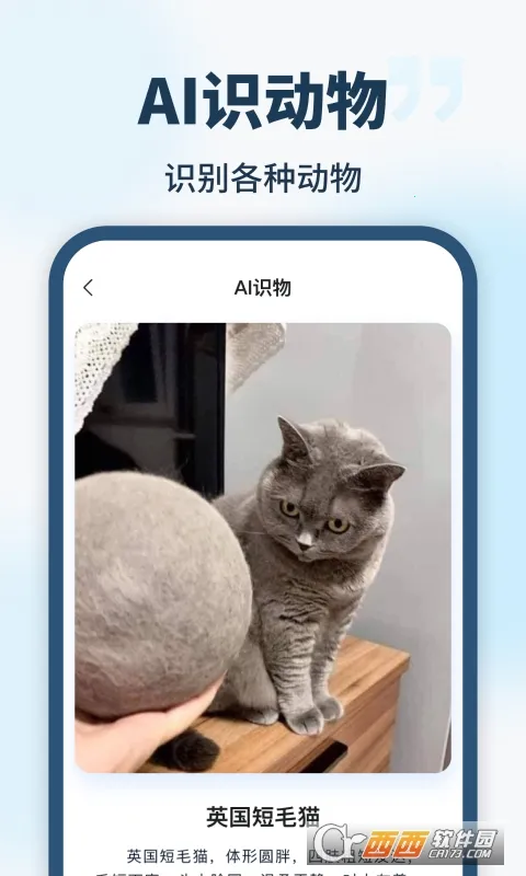 AI智能助手2026最新版本