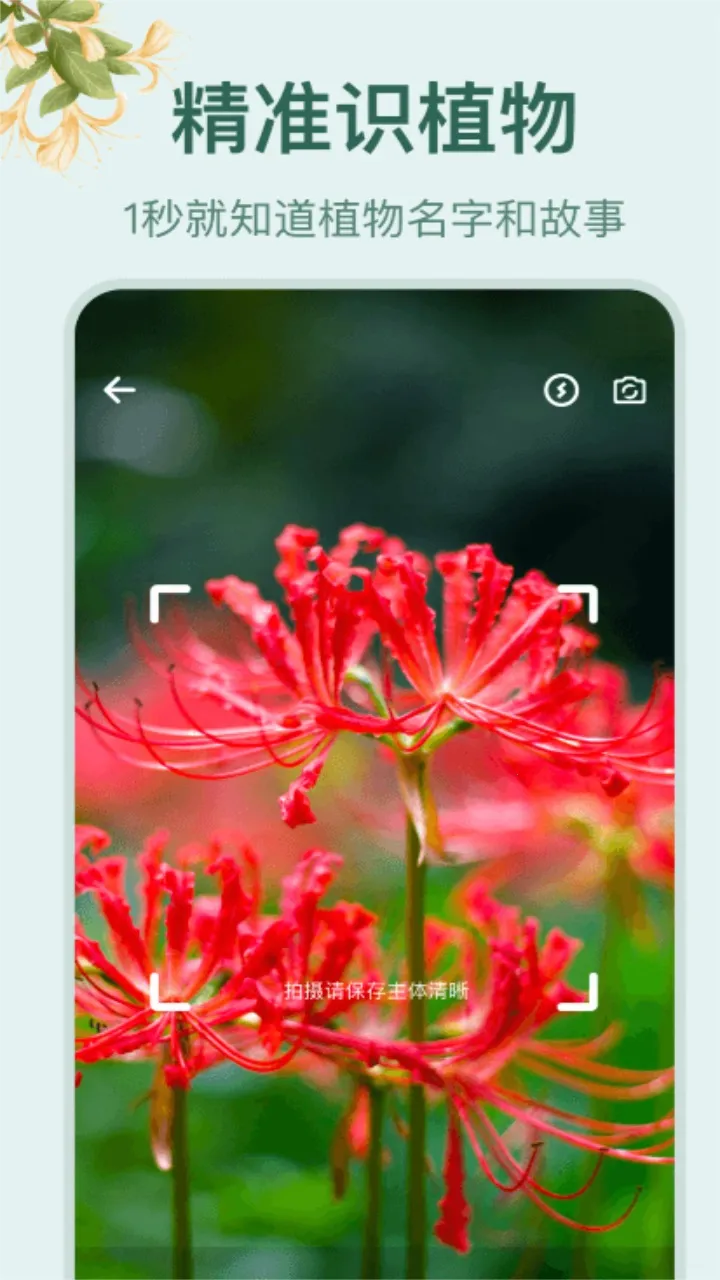 小园丁追剧v1.4(1)