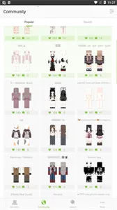 skinseed皮肤制作器v6.5.12(4)