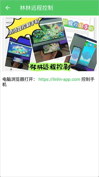 林林远程控制(远程设备控制软件)