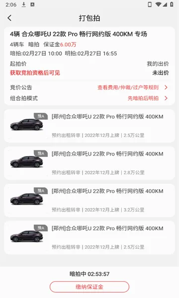 电小库(新能源二手车拍卖)