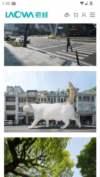 老蛙镜头(镜头管理app)